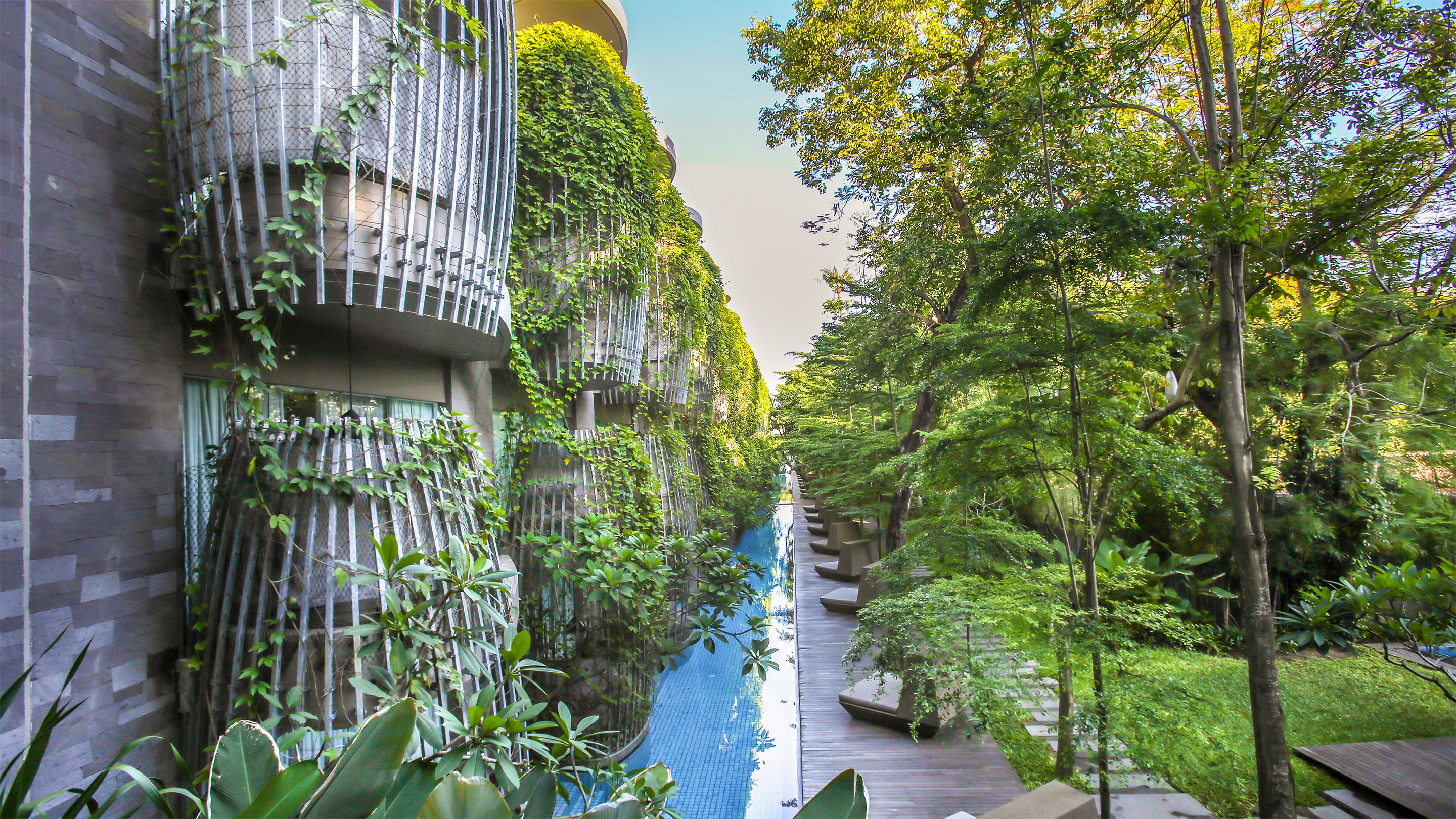 منتجع مايا سانور آند سبا المظهر الخارجي الصورة The green wall at the hotel